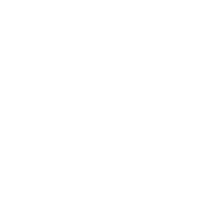 Github logo